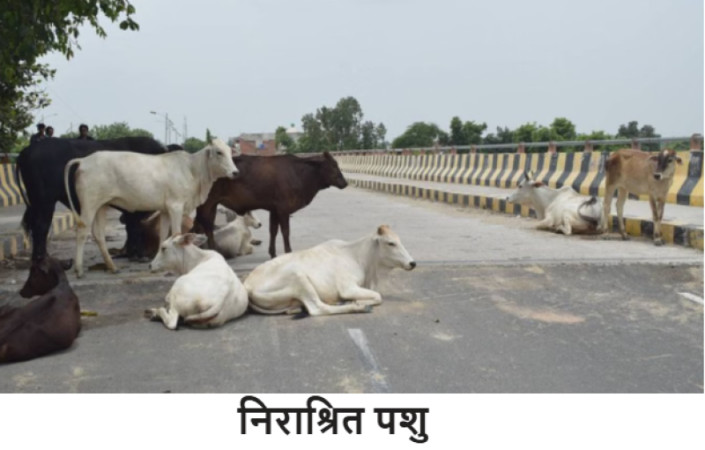 kotha
