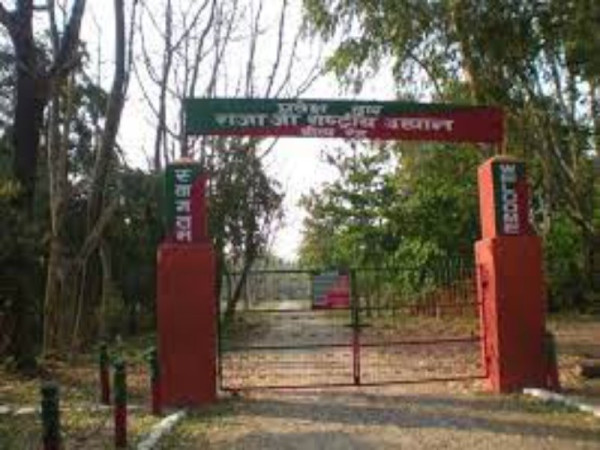 kotha